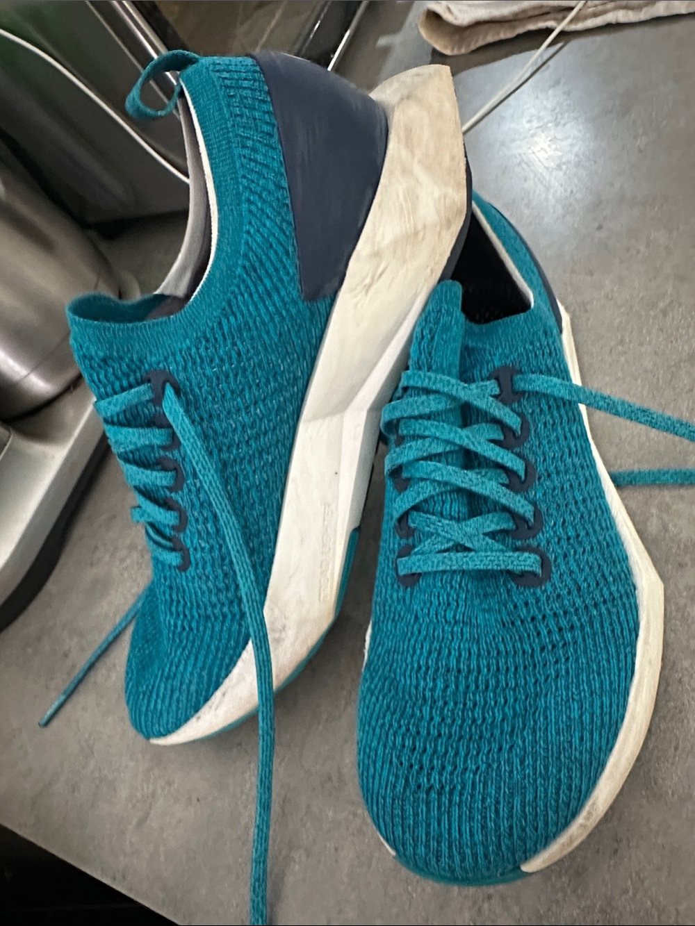 Allbirds Tree Dasher Runners
